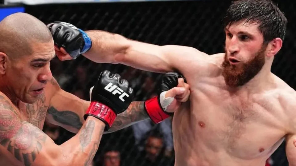 Alex Poatan reconquista cinturão dos meio-pesados do UFC com nocaute avassalador em 80 segundos