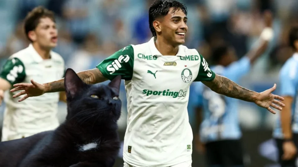 Gato Vidente Aposta na vitória do Palmeiras contra o Flamengo na Libertadores.
